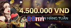 88nn