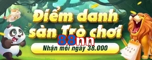 88nn